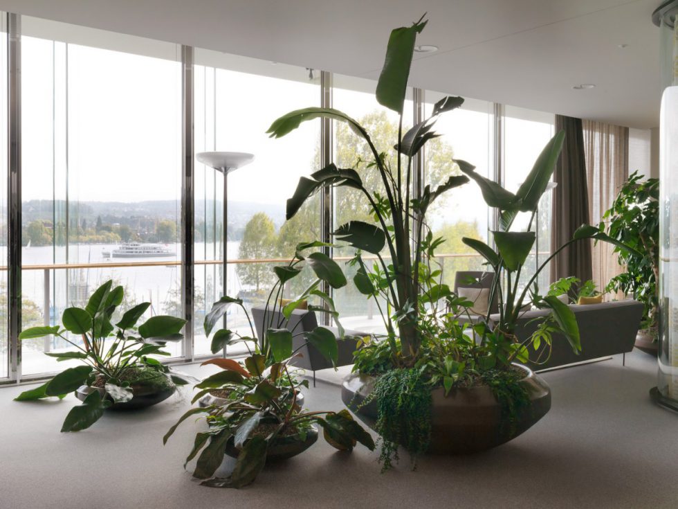 Interior plant design with continentspecific vegetation EILO